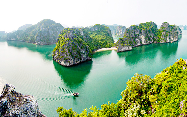 Dịch vụ SEO tại Quảng Ninh: top bền vững, doanh thu vượt trội